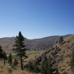 Borda Ranch Overview