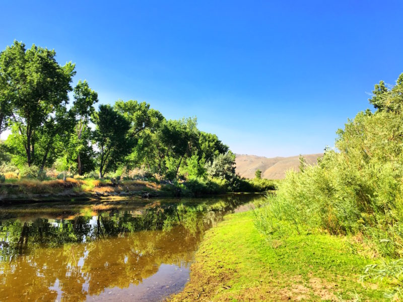 A favorite place to hike is along the Carson River. 