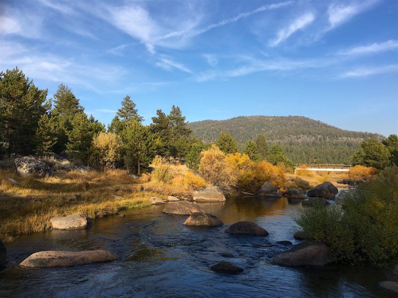 On the way home from South Lake Tahoe yesterday, the Girl and I stopped for a walk along the West Carson River.