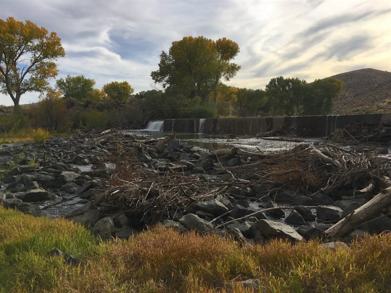 Over the last few days, I noticed the flow in Carson River increased. Irrigation season is ended and flows are being restored to the Carson River.