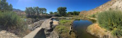 The Girl and I enjoy the Carson River Trail. That walk takes us from either Silver Saddle Ranch or the Carson River Park to the Mexican Dam (and farther if we'd like). This is a beautiful walk regardless of the time of day.