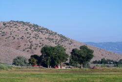 I love walking the Silver Saddle Ranch open space area. It's jointly managed by Carson City and BLM. Residual smoke from the California wildfires is visible in the background.