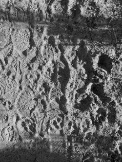 When out and about, I'm always looking for an image that might be interesting.