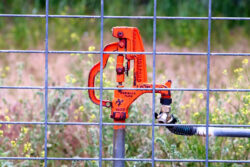 Freezeproof hydrant at Silver Saddle Ranch.