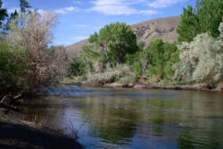 I shot this with the Sony A7S and a Jupiter 8 50mm f/2 lens at f/8.