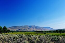 On morning walkies, The Girl sniffed about while I made this capture of Silver Saddle Ranch and Mt. Scott.