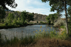 I like the juxtaposition of the river and the flowers.