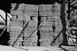 I have been watching this growing haystack the last few weeks. They sure can't stack hay bales.