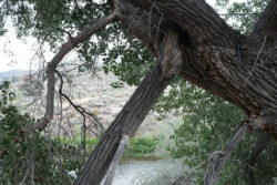 This would certainly ruin a good day.